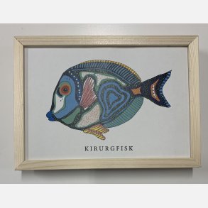 Kirurgfisk 16,5x22,5 cm indrammet i fyrtr