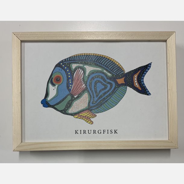 Kirurgfisk 16,5x22,5 cm indrammet i fyrtr