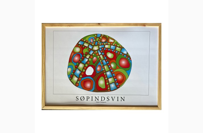Spindsvin 31,5x43,5 cm