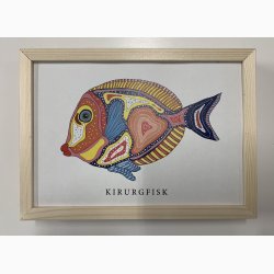 Kirurgfisk 16,5x22,5 cm indrammet i fyrtr