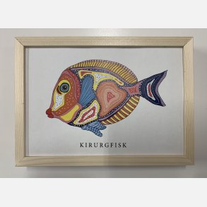 Kirurgfisk 16,5x22,5 cm indrammet i fyrtr