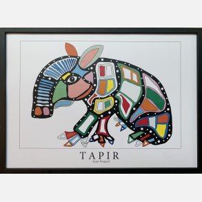 Tapir. 31,5x43,5 cm