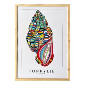 Konkylie 43,5x31,5 cm