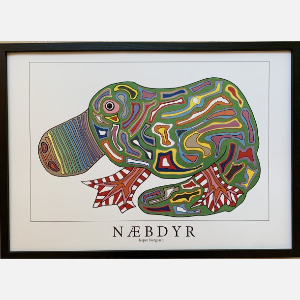 Nbdyr  31,5x43,5 cm