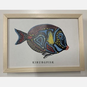 Kirurgfisk 16,5x22,5 cm indrammet i fyrtr