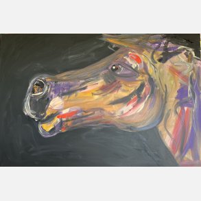 Horse - baroomby  100x150 cm