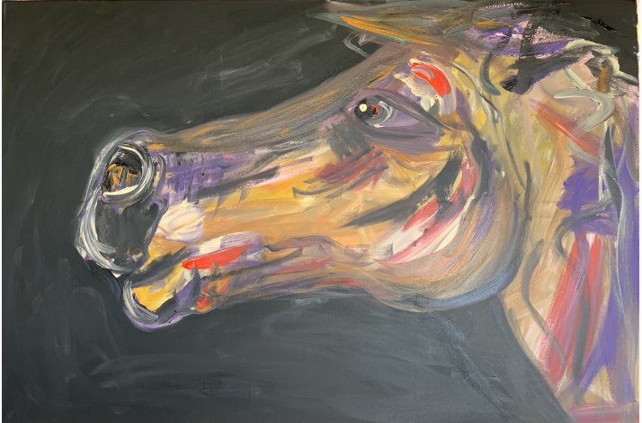 Horse - baroomby  100x150 cm