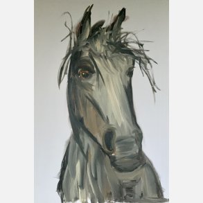 Horse - proud  150x100 cm