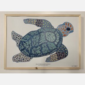 Havskildpadde   limited print indrammet i fyr  33,5x46,5 cm