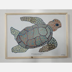 Havskildpadde   limited print indrammet i fyr  33,5x46,5 cm