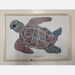 Havskildpadde   limited print indrammet i fyr  33,5x46,5 cm