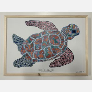 Havskildpadde   limited print indrammet i fyr  33,5x46,5 cm