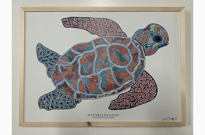 Havskildpadde   limited print indrammet i fyr  33,5x46,5 cm
