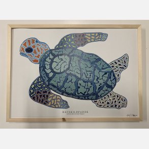 Havskildpadde   limited print indrammet i fyr  33,5x46,5 cm