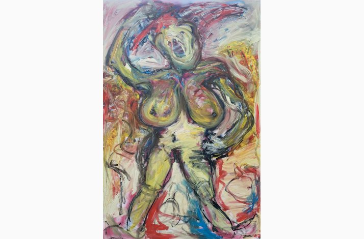 Valkyrien 218x146 cm