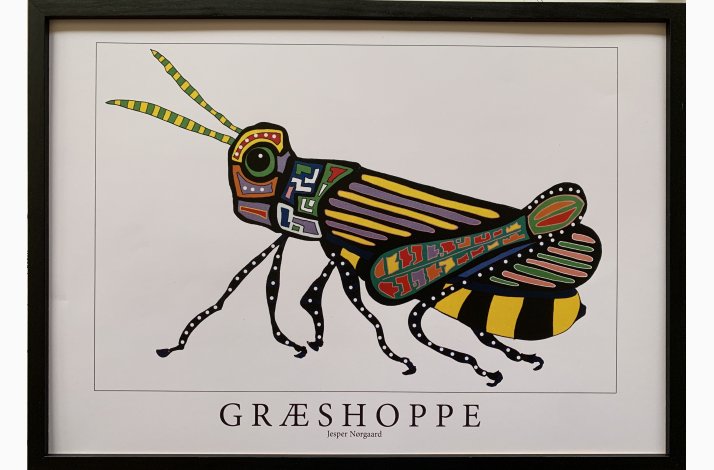 Grshoppe  gul/sort  31,5x43,5 cm