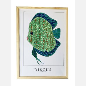 Discus  Bl/grn 43,5x31,5 cm