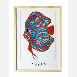 Discus  Bl/rd 43,5x31,5 cm