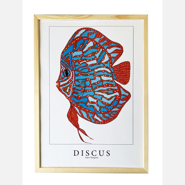 Discus  Bl/rd 43,5x31,5 cm
