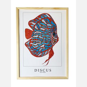 Discus  Bl/rd 43,5x31,5 cm