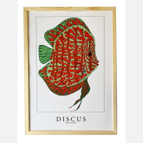 Discus  Rd/Grn 43,5x31,5 cm