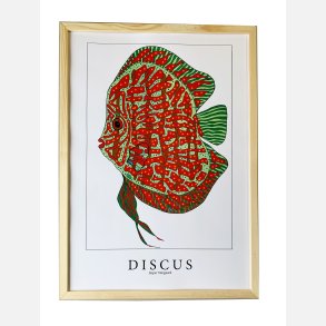 Discus  Rd/Grn 43,5x31,5 cm 