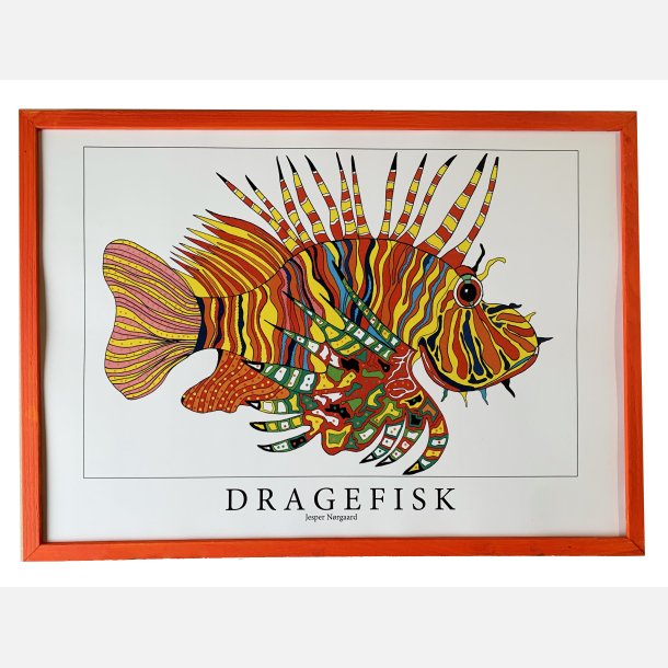 Dragefisk  rd  31,5x43,5 cm 