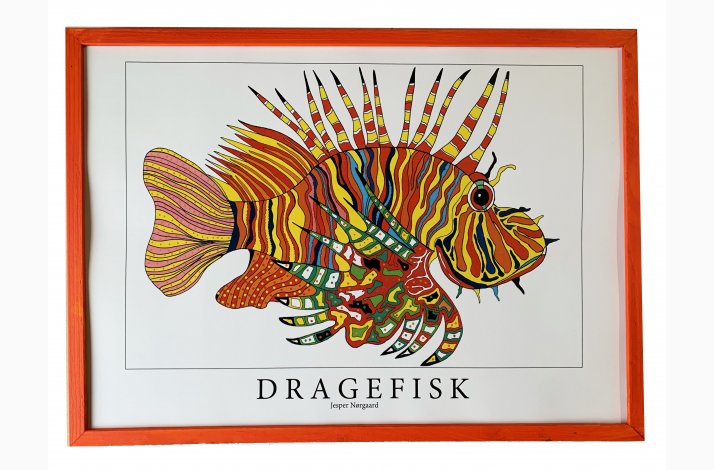 Dragefisk  rd  31,5x43,5 cm 