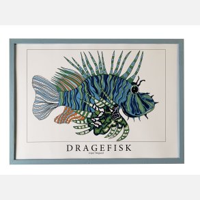 Dragefisk  bl  31,5x43,5 cm 