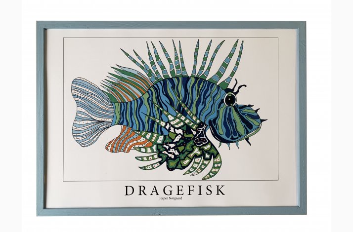 Dragefisk  bl  31,5x43,5 cm 