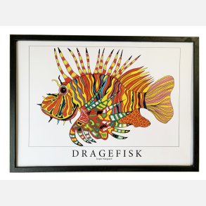 Dragefisk  rd  31,5x43,5 cm 