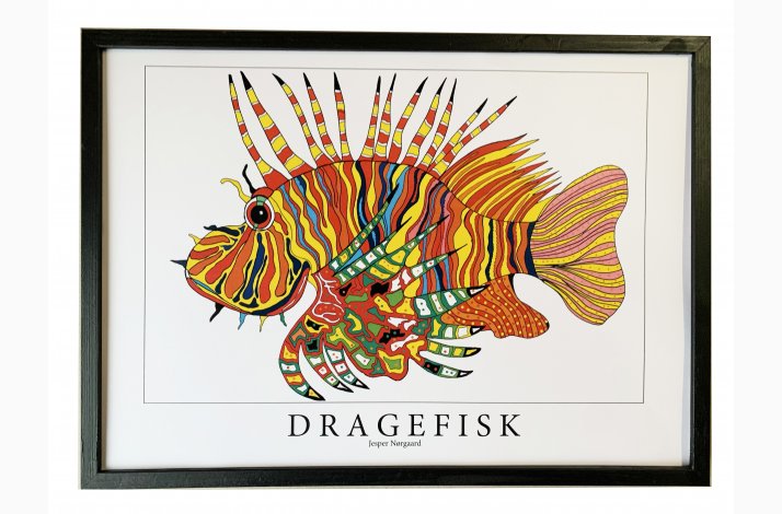 Dragefisk  rd  31,5x43,5 cm 