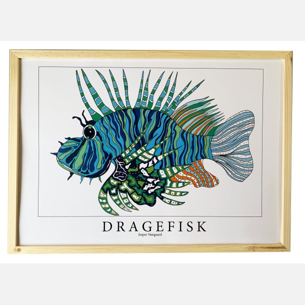 Dragefisk  bl  31,5x43,5 cm 