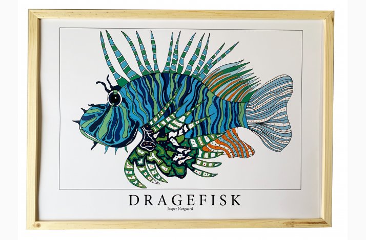 Dragefisk  bl  31,5x43,5 cm 