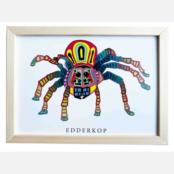 Edderkop 16,5x22,5 cm indrammet i fyrtr