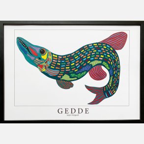 Gedde  31,5x43,5 cm