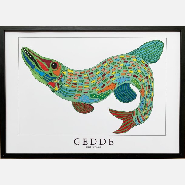 Gedde  31,5x43,5 cm