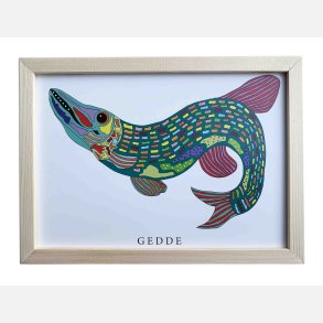 Gedde 16,5x22,5 cm indrammet i fyrtr