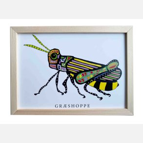 Grshoppe 16,5x22,5 cm indrammet i fyrtr