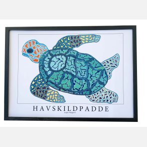 Havskildpadde  31,5x43,5 cm
