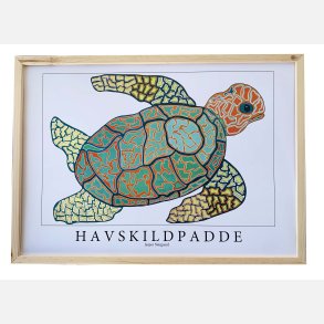 Havskildpadde  31,5x43,5 cm