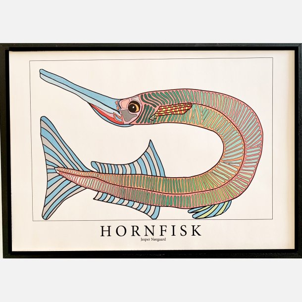 Hornfisk  31,5x43,5 cm