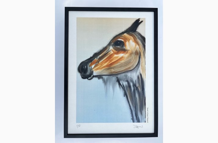 Sheela - 43,5x31,5 cm  indrammet i sort trramme