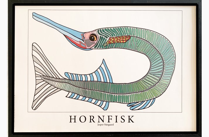Hornfisk  31,5x43,5 cm