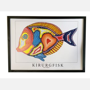 Kirurgfisk  31,5x43,5 cm