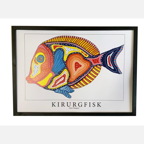 Kirurgfisk  31,5x43,5 cm