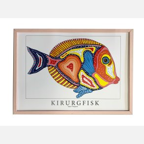 Kirurgfisk  31,5x43,5 cm