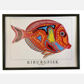 Kirurgfisk  31,5x43,5 cm