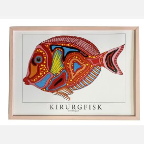 Kirurgfisk  31,5x43,5 cm