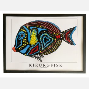 Kirurgfisk  31,5x43,5 cm